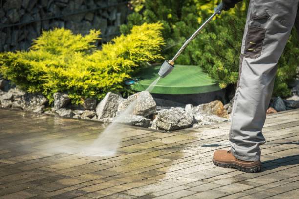 Best Driveway Pressure Washing  in Flemington, GA